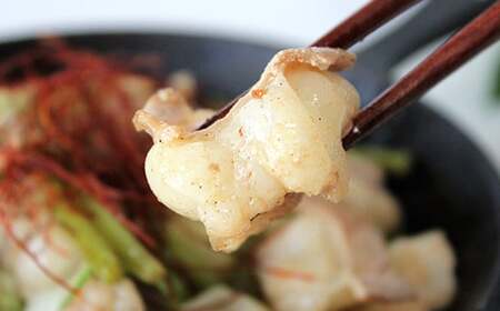 熊本県 球磨村 くまもとあか牛 白ホルモン 500g（250g×2パック） FKP9-411