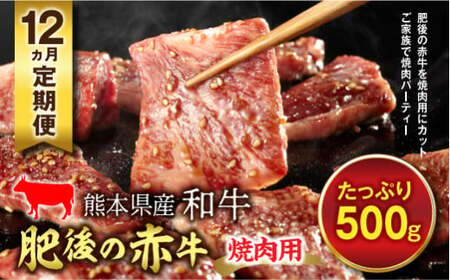 ≪12ヵ月定期≫肥後の赤牛 焼肉用（500g） FKP9-606