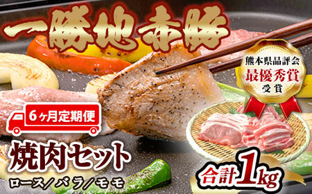 ≪6ヵ月定期≫一勝地赤豚焼肉セット(1kg) FKP9-460