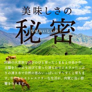  【数量限定】 【ＧＩ認証】 くまもとあか牛ロースステーキ（500g） FKP9-471