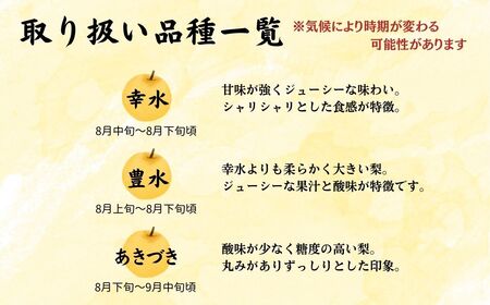 熊本県ＪＡくま産 球磨の梨 5kg(12玉～16玉 旬な品種) お届け時期：2024年8月上旬～10月上旬