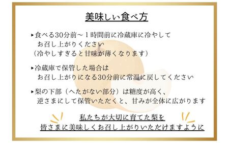 熊本県ＪＡくま産 球磨の梨 5kg(12玉～16玉 旬な品種) お届け時期：2024年8月上旬～10月上旬