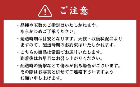 熊本県ＪＡくま産 球磨の梨 5kg(12玉～16玉 旬な品種) お届け時期：2024年8月上旬～10月上旬