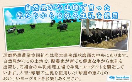 球磨の恵み「のむヨーグルト」加糖150g×10本セット