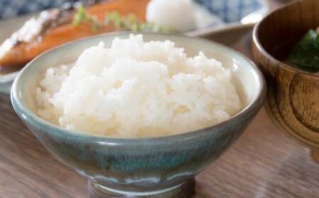 【令和7年産】 くまさんの輝き 5kg×1袋 【2025年10月下旬~2026年3月下旬迄発送予定】 お米 米 精米 白米 ごはん ご飯 熊本県 あさぎり町