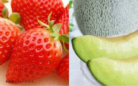 【フルーツ2回定期便】 球磨のいちご 1kg + アンデスメロン 5kg 【2026年1月中旬~5月下旬迄順次発送予定】 苺 いちご イチゴ メロン 果物 果実 フルーツ 定期便 九州 熊本県 あさぎり町 冷蔵