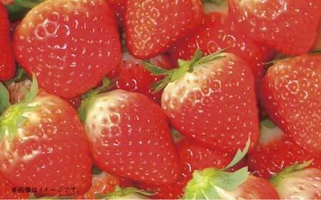 【フルーツ2回定期便】 球磨のいちご 1kg + アンデスメロン 5kg 【2026年1月中旬~5月下旬迄順次発送予定】 苺 いちご イチゴ メロン 果物 果実 フルーツ 定期便 九州 熊本県 あさぎり町 冷蔵