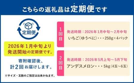 【フルーツ2回定期便】 球磨のいちご 1kg + アンデスメロン 5kg 【2026年1月中旬~5月下旬迄順次発送予定】 苺 いちご イチゴ メロン 果物 果実 フルーツ 定期便 九州 熊本県 あさぎり町 冷蔵