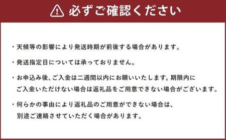 【フルーツ2回定期便】 球磨のいちご 1kg + アンデスメロン 5kg 【2026年1月中旬~5月下旬迄順次発送予定】 苺 いちご イチゴ メロン 果物 果実 フルーツ 定期便 九州 熊本県 あさぎり町 冷蔵