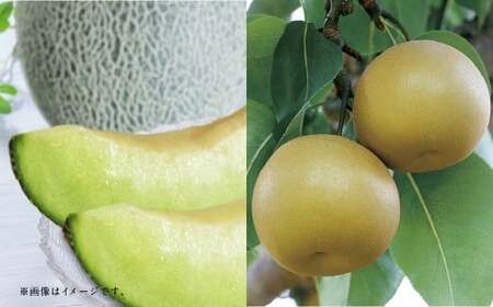 【フルーツ2回定期便】　アンデスメロン 5kg ＋ 梨 5kg 【2026年5月上旬～10月上旬迄順次発送予定】 メロン なし ナシ 和梨 果物 果実 フルーツ 定期便 九州 熊本県 あさぎり町 冷蔵