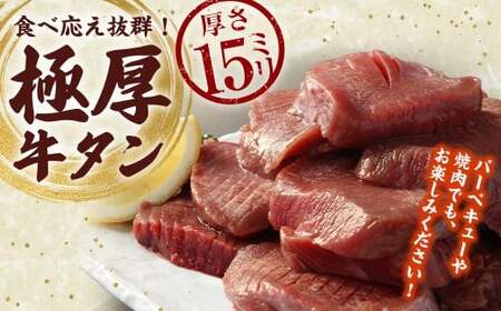 【訳あり】 極厚牛タン 約500g×1パック 牛舌 牛肉 お肉 バーベキュー