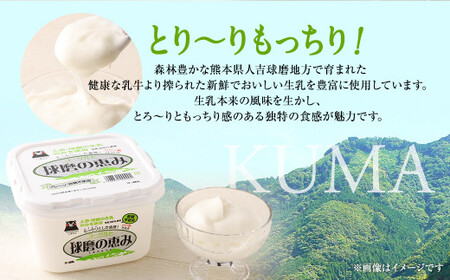 【12月24日迄に入金確認で年内発送】 とろ~り食感!!球磨の恵みヨーグルト 砂糖不使用タイプ 1kg×3パック