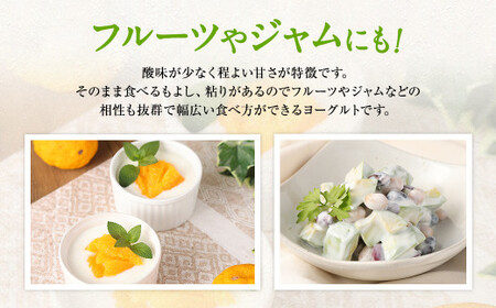 【12月24日迄に入金確認で年内発送】 とろ~り食感!!球磨の恵みヨーグルト 砂糖不使用タイプ 1kg×3パック