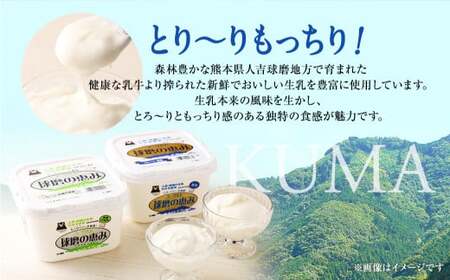 とろ～り食感!!球磨の恵みヨーグルトセット1kg×4パック (加糖・砂糖不使用 各2パック)