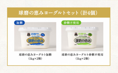 とろ～り食感!!球磨の恵みヨーグルトセット1kg×4パック (加糖・砂糖不使用 各2パック)