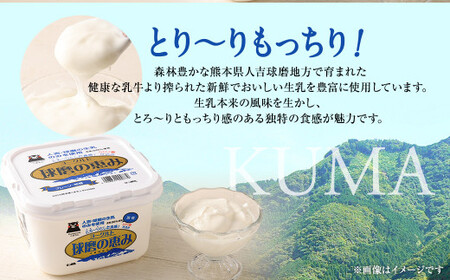 とろ～り食感!!球磨の恵みヨーグルト 加糖タイプ 1kg×3パック
