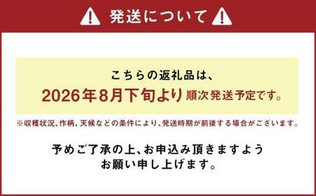 熊本県あさぎり町産　白ねぎ「球磨美人」Mサイズ×40本　お届け時期：2026年8月下旬より順次発送　【白葱／白ネギ／長ねぎ／長葱／長ネギ】