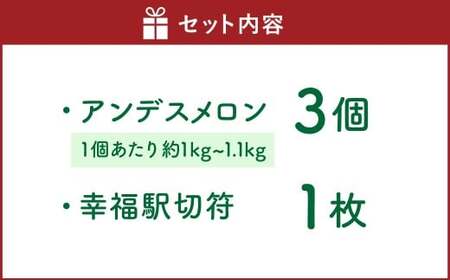 中村さんの幸福メロン（アンデスメロン） 3個 メロン 果物 フルーツ 常温 熊本県 あさぎり町 【2026年4月下旬～5月上旬まで発送予定】