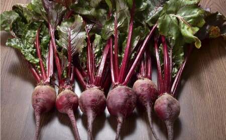 自社農園栽培 生ビーツ5kg  ビーツ やさい 野菜 健康 美容 冷蔵 国産 九州 熊本県 あさぎり町