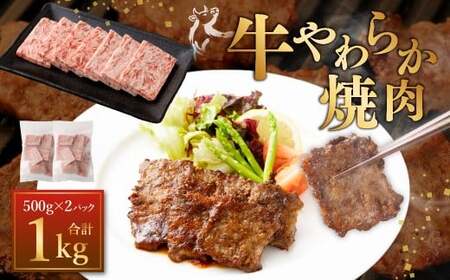 牛やわらか焼肉 500g×2パック 計1kg 焼肉 焼き肉 牛 肉牛 冷凍 熊本県 あさぎり町