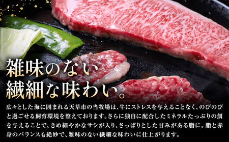 【3ヶ月定期便】黒毛和牛 牛肉 ロース カルビ 切り落とし 500g 田中畜産