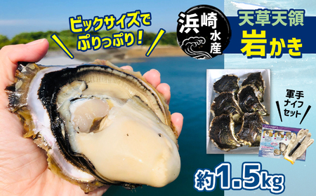 浜崎水産の天草天領岩かき 約1.5kg