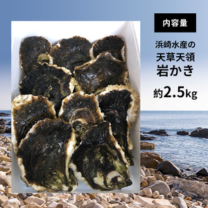 浜崎水産の天草天領岩かき 約2.5kg |  牡蠣 岩牡蠣 カキ 牡蠣 岩牡蠣 カキ 牡蠣 岩牡蠣 カキ 牡蠣 岩牡蠣 カキ 牡蠣 岩牡蠣 カキ 牡蠣 岩牡蠣 カキ 牡蠣 岩牡蠣 カキ 牡蠣 岩牡蠣 カキ 牡蠣 岩牡蠣 カキ 牡蠣 岩牡蠣 カキ 牡蠣 岩牡蠣 カキ 牡蠣 岩牡蠣 カキ 牡蠣 岩牡蠣 カキ 牡蠣 岩牡蠣 カキ 牡蠣 岩牡蠣 カキ 牡蠣 岩牡蠣 カキ 牡蠣 岩牡蠣 カキ 牡蠣 岩牡蠣 カキ 牡蠣 岩牡蠣 カキ 牡蠣 岩牡蠣 カキ 牡蠣 岩牡蠣 カキ 牡蠣 岩牡蠣 カキ 牡蠣 岩牡蠣 カキ 牡蠣 岩牡蠣 カキ 牡蠣 岩牡蠣 カキ 牡蠣 岩牡蠣 カキ 牡蠣 岩牡蠣 カキ 牡蠣 岩牡蠣 カキ 牡蠣 岩牡蠣 カキ 牡蠣 岩牡蠣 カキ 牡蠣 岩牡蠣 カキ 牡蠣 岩牡蠣 カキ 牡蠣 岩牡蠣 カキ 牡蠣 岩牡蠣 カキ 牡蠣 岩牡蠣 カキ 牡蠣 岩牡蠣 カキ 牡蠣 岩牡蠣 カキ 牡蠣 岩牡蠣 カキ 牡蠣 岩牡蠣 カキ 牡蠣 岩牡蠣 カキ 牡蠣 岩牡蠣 カキ 牡蠣 岩牡蠣 カキ 牡蠣 岩牡蠣 カキ 牡蠣 岩牡蠣 カキ 牡蠣 岩牡蠣 カキ 牡蠣 岩牡蠣 カキ 牡蠣 岩牡蠣 カキ 牡蠣 岩牡蠣 カキ 牡蠣 岩牡蠣 カキ 牡蠣 岩牡蠣 カキ 牡蠣 岩牡蠣 カキ 牡蠣 岩牡蠣 カキ 牡蠣 岩牡蠣 カキ 牡蠣 岩牡蠣 カキ 牡蠣 岩牡蠣 カキ