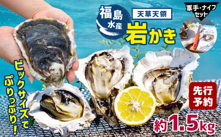 福島水産の天草天領岩かき 約1.5kg |  牡蠣 岩牡蠣 カキ 牡蠣 岩牡蠣 カキ 牡蠣 岩牡蠣 カキ 牡蠣 岩牡蠣 カキ 牡蠣 岩牡蠣 カキ 牡蠣 岩牡蠣 カキ 牡蠣 岩牡蠣 カキ 牡蠣 岩牡蠣 カキ 牡蠣 岩牡蠣 カキ 牡蠣 岩牡蠣 カキ 牡蠣 岩牡蠣 カキ 牡蠣 岩牡蠣 カキ 牡蠣 岩牡蠣 カキ 牡蠣 岩牡蠣 カキ 牡蠣 岩牡蠣 カキ 牡蠣 岩牡蠣 カキ 牡蠣 岩牡蠣 カキ 牡蠣 岩牡蠣 カキ 牡蠣 岩牡蠣 カキ 牡蠣 岩牡蠣 カキ 牡蠣 岩牡蠣 カキ 牡蠣 岩牡蠣 カキ 牡蠣 岩牡蠣 カキ 牡蠣 岩牡蠣 カキ 牡蠣 岩牡蠣 カキ 牡蠣 岩牡蠣 カキ 牡蠣 岩牡蠣 カキ 牡蠣 岩牡蠣 カキ 牡蠣 岩牡蠣 カキ 牡蠣 岩牡蠣 カキ 牡蠣 岩牡蠣 カキ 牡蠣 岩牡蠣 カキ 牡蠣 岩牡蠣 カキ 牡蠣 岩牡蠣 カキ 牡蠣 岩牡蠣 カキ 牡蠣 岩牡蠣 カキ 牡蠣 岩牡蠣 カキ 牡蠣 岩牡蠣 カキ 牡蠣 岩牡蠣 カキ 牡蠣 岩牡蠣 カキ 牡蠣 岩牡蠣 カキ 牡蠣 岩牡蠣 カキ 牡蠣 岩牡蠣 カキ 牡蠣 岩牡蠣 カキ 牡蠣 岩牡蠣 カキ 牡蠣 岩牡蠣 カキ 牡蠣 岩牡蠣 カキ 牡蠣 岩牡蠣 カキ 牡蠣 岩牡蠣 カキ 牡蠣 岩牡蠣 カキ 牡蠣 岩牡蠣 カキ 牡蠣 岩牡蠣 カキ 牡蠣 岩牡蠣 カキ 牡蠣 岩牡蠣 カキ 牡蠣 岩牡蠣 カキ