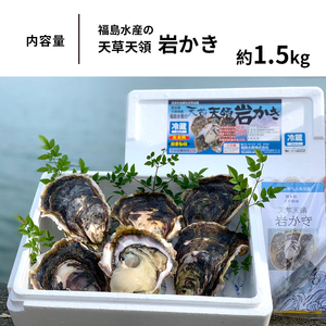 福島水産の天草天領岩かき 約1.5kg