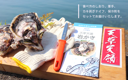 福島水産の天草天領岩かき 約1.5kg