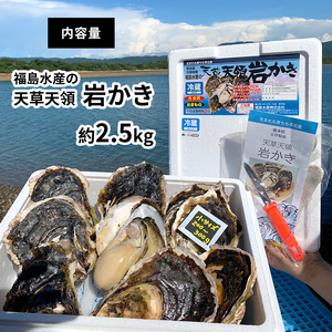 福島水産の天草天領岩かき 約2.5kg |  牡蠣 岩牡蠣 カキ 牡蠣 岩牡蠣 カキ 牡蠣 岩牡蠣 カキ 牡蠣 岩牡蠣 カキ 牡蠣 岩牡蠣 カキ 牡蠣 岩牡蠣 カキ 牡蠣 岩牡蠣 カキ 牡蠣 岩牡蠣 カキ 牡蠣 岩牡蠣 カキ 牡蠣 岩牡蠣 カキ 牡蠣 岩牡蠣 カキ 牡蠣 岩牡蠣 カキ 牡蠣 岩牡蠣 カキ 牡蠣 岩牡蠣 カキ 牡蠣 岩牡蠣 カキ 牡蠣 岩牡蠣 カキ 牡蠣 岩牡蠣 カキ 牡蠣 岩牡蠣 カキ 牡蠣 岩牡蠣 カキ 牡蠣 岩牡蠣 カキ 牡蠣 岩牡蠣 カキ 牡蠣 岩牡蠣 カキ 牡蠣 岩牡蠣 カキ 牡蠣 岩牡蠣 カキ 牡蠣 岩牡蠣 カキ 牡蠣 岩牡蠣 カキ 牡蠣 岩牡蠣 カキ 牡蠣 岩牡蠣 カキ 牡蠣 岩牡蠣 カキ 牡蠣 岩牡蠣 カキ 牡蠣 岩牡蠣 カキ 牡蠣 岩牡蠣 カキ 牡蠣 岩牡蠣 カキ 牡蠣 岩牡蠣 カキ 牡蠣 岩牡蠣 カキ 牡蠣 岩牡蠣 カキ 牡蠣 岩牡蠣 カキ 牡蠣 岩牡蠣 カキ 牡蠣 岩牡蠣 カキ 牡蠣 岩牡蠣 カキ 牡蠣 岩牡蠣 カキ 牡蠣 岩牡蠣 カキ 牡蠣 岩牡蠣 カキ 牡蠣 岩牡蠣 カキ 牡蠣 岩牡蠣 カキ 牡蠣 岩牡蠣 カキ 牡蠣 岩牡蠣 カキ 牡蠣 岩牡蠣 カキ 牡蠣 岩牡蠣 カキ 牡蠣 岩牡蠣 カキ 牡蠣 岩牡蠣 カキ 牡蠣 岩牡蠣 カキ 牡蠣 岩牡蠣 カキ 牡蠣 岩牡蠣 カキ 牡蠣 岩牡蠣 カキ