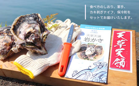 福島水産の天草天領岩かき 約2.5kg