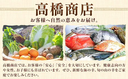 先行予約 天草産 上津深江 スイカ 1玉|高橋商店