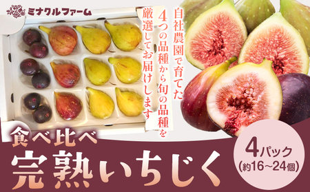 完熟いちじく ミナクルファーム 食べ比べ　フルーツ 果物 くだもの いちじく イチジク 無花果 完熟 《2026年8月中旬-9月末頃出荷》熊本県 苓北町