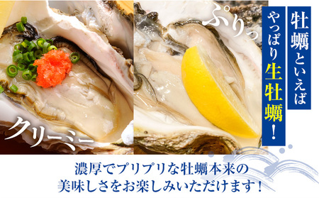 岩牡蠣 5kg かき 浜崎水産 牡蠣 生食