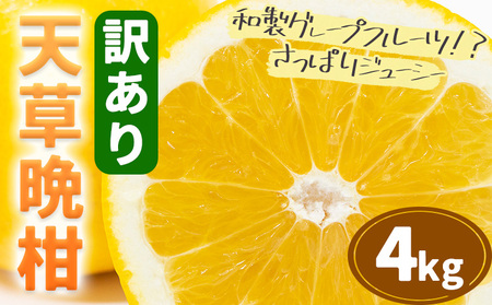 【先行予約】訳あり 天草晩柑 4㎏《2026年3月上旬-5月下旬頃出荷》都呂々みかん