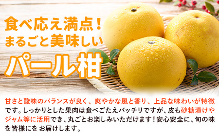 【先行予約】パール柑 4kg《2026年3月上旬-4月中旬頃出荷予定》都呂々みかん