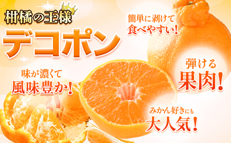 デコポン ご家庭用 約2kg 訳あり デコポン《2026年2月上旬-4月末頃出荷》