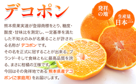 デコポン ご家庭用 約2kg 訳あり デコポン《2026年2月上旬-4月末頃出荷》