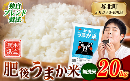 肥後うまか米 20kg 無洗米  《7-14日以内に出荷予定(土日祝を除く)》