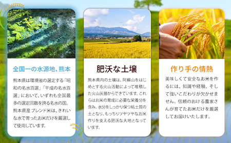 【12ヶ月定期便】肥後うまか米 5kg 無洗米 《お申込み翌月から出荷》  