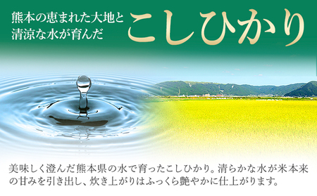 【12ヶ月定期便】令和7年産 白米 こしひかり 5kg 《お申込み翌月から出荷》