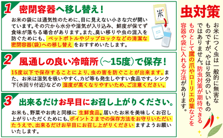 【12ヶ月定期便】令和7年産 無洗米 こしひかり 5kg 《お申込み翌月から出荷》 