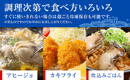 岩牡蠣 定期便 2回 1.5kg カキ 岩かき 浜崎水産