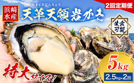 岩牡蠣 定期便 2回 2.5kg カキ 岩かき 浜崎水産