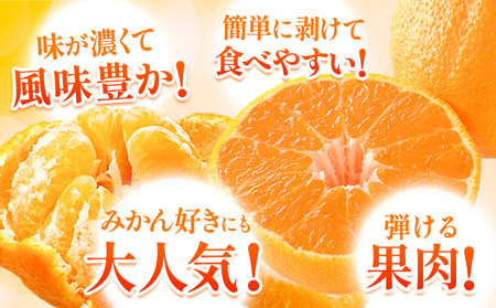 不知火 デコみかん ご家庭用 訳あり 5kg