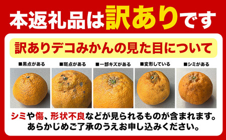 不知火 デコみかん ご家庭用 訳あり 5kg