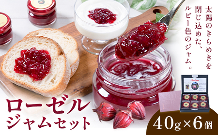 ローゼルジャムセット 40g×6個 もり農園《30日以内に出荷予定(土日祝除く)》熊本県 苓北町 ジャム ローゼル ハイビスカス セット 11,840円