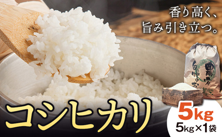 超早期米 コシヒカリ こしひかり 5kg 田嶋ファーム《30日以内に出荷予定(土日祝除く)》熊本県 苓北町 米 早期米 天草 苓北 国産 九州 熊本 熊本県産
