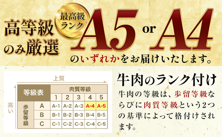 黒毛和牛 牛肉 ロース カルビ 切り落とし 500g 牛肉 田中畜産